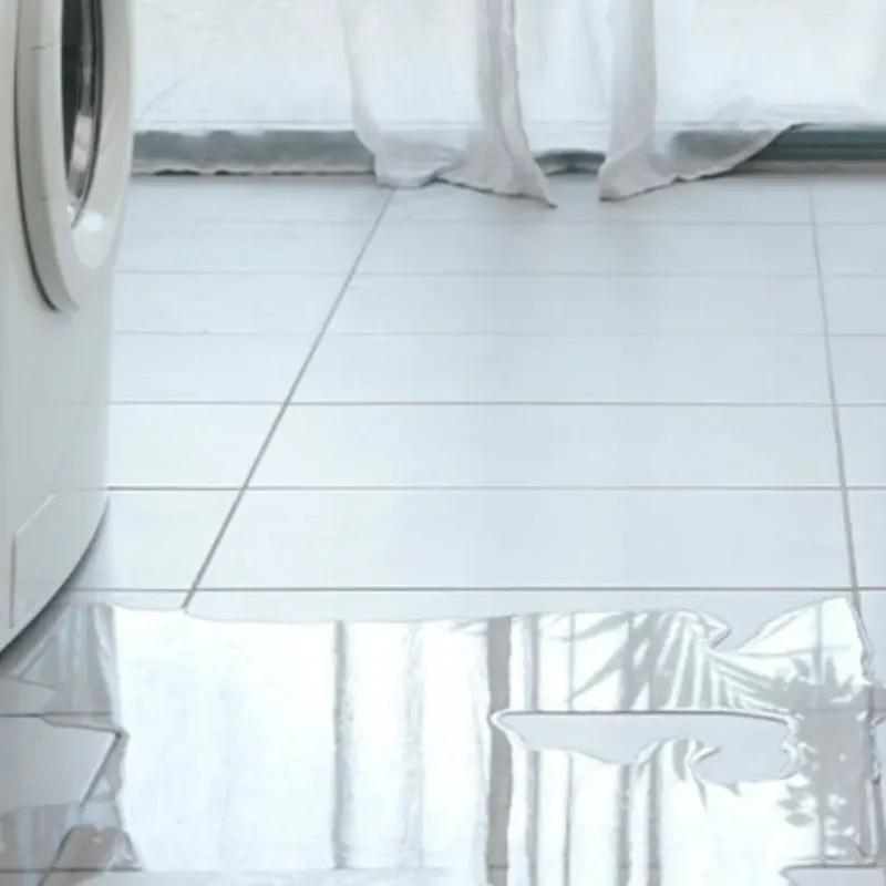 Appliance Leak Cleanup in Darien, IL