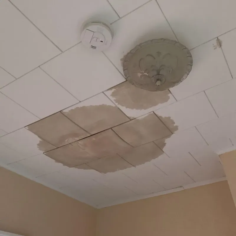 Ceiling Water Damage Repair in Darien, IL