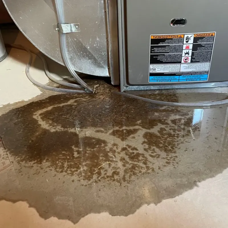 Pipe Burst and Leak Restoration in Darien, IL